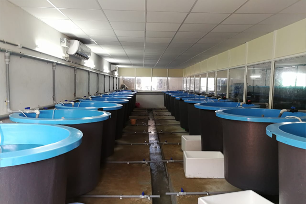 AQUACULTURE TANKS