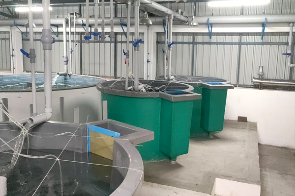 AQUACULTURE TANKS